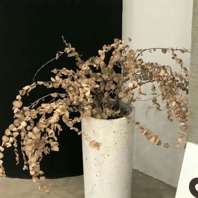 旌德福瑞交流群